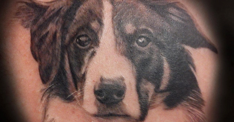 Pet Tattoo-Tattoo Design & Ideas|Stigma Tattoo